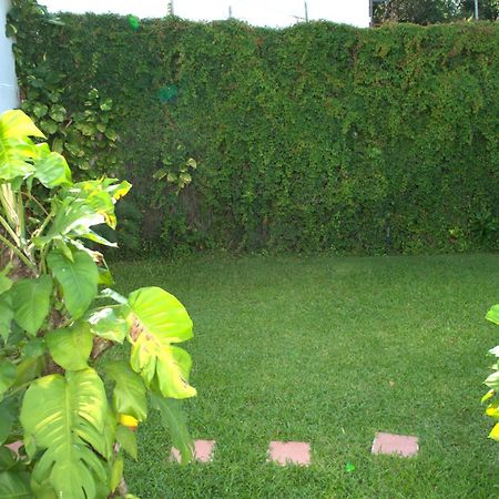 Beautiful Jungle House On A Strategic Location Villa แคนคูน ภายนอก รูปภาพ