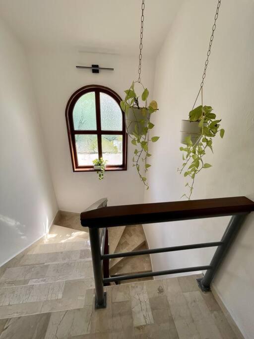 Beautiful Jungle House On A Strategic Location Villa แคนคูน ภายนอก รูปภาพ