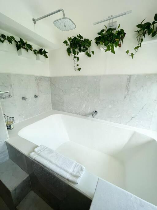 Beautiful Jungle House On A Strategic Location Villa แคนคูน ภายนอก รูปภาพ